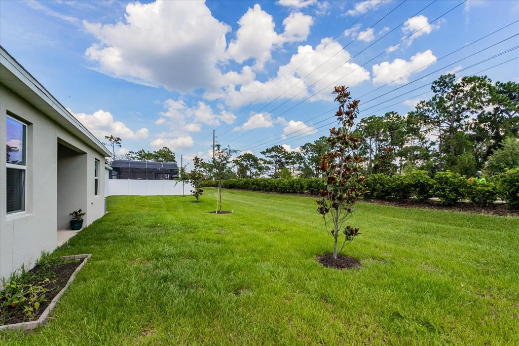 5616 Quiet Palm Loop St. Cloud, FL 34771 - Photo 24 of 25 a view of a backyard