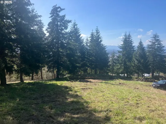 a view of yard with trees