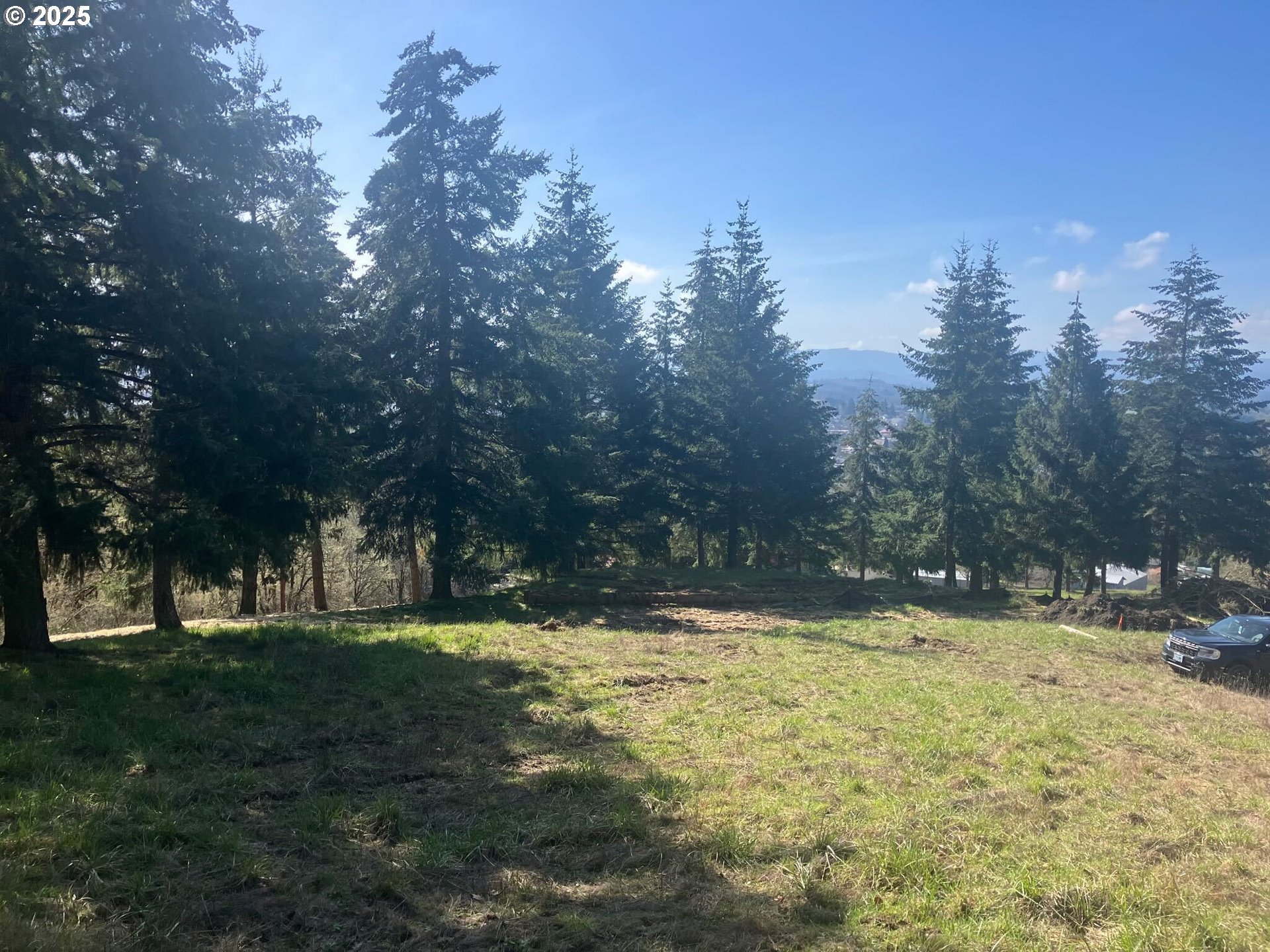 Center, Unit 2 Sheridan, OR 97378 - Photo 11 of 30 a view of yard with trees
