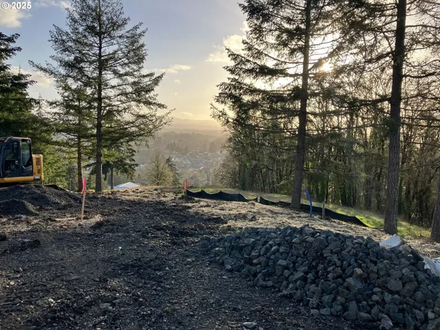 a view of a yard with lots of trees