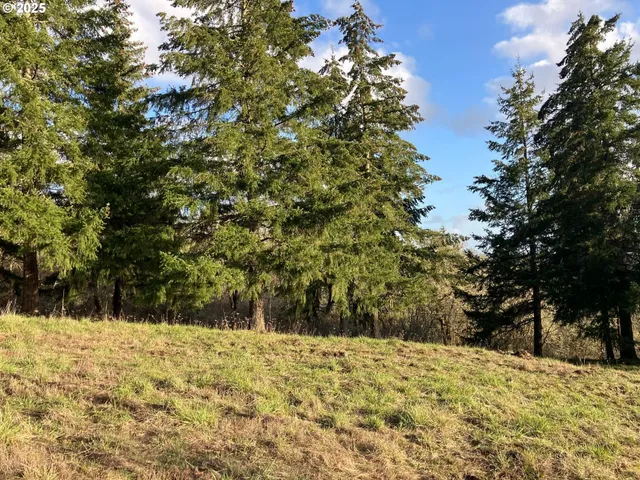 a view of a yard covered in snow