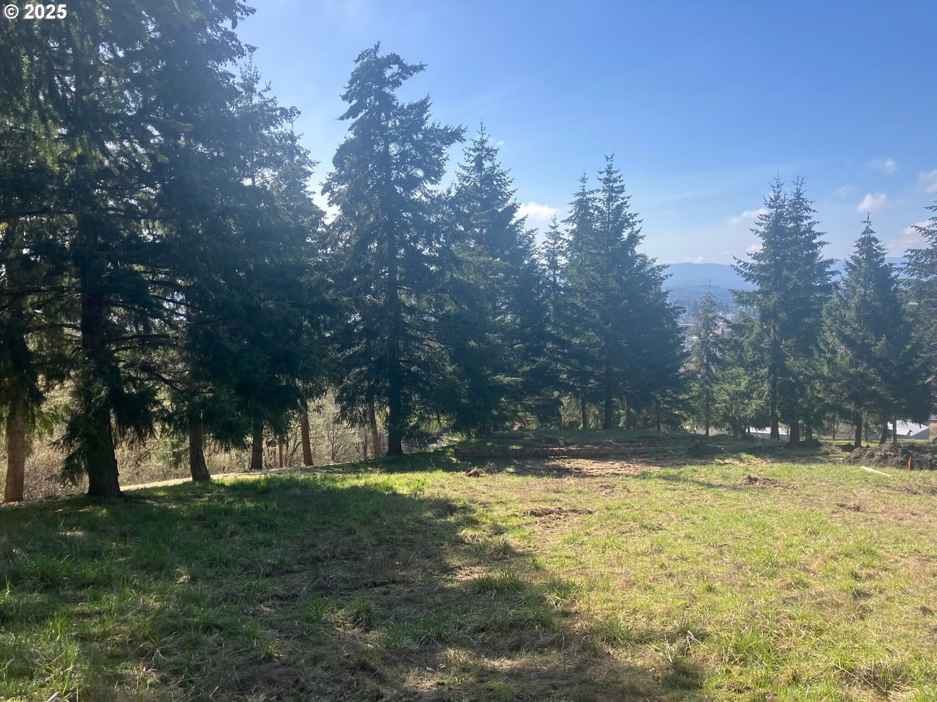 Center, Unit 2 Sheridan, OR 97378 - Photo 7 of 30 a view of yard with trees