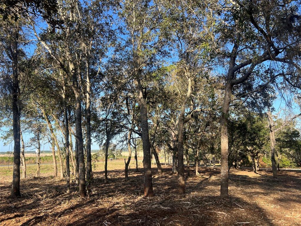 Levy Street Williston, FL 32696 - Photo 14 of 26