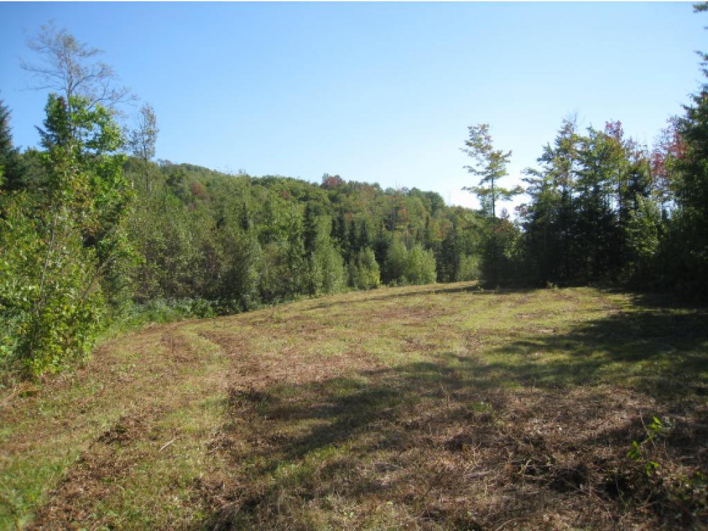 Lot #5 Rt 114 East Haven Road Island Pond, VT 05846 - Photo 1 of 10 Gallery Image 1