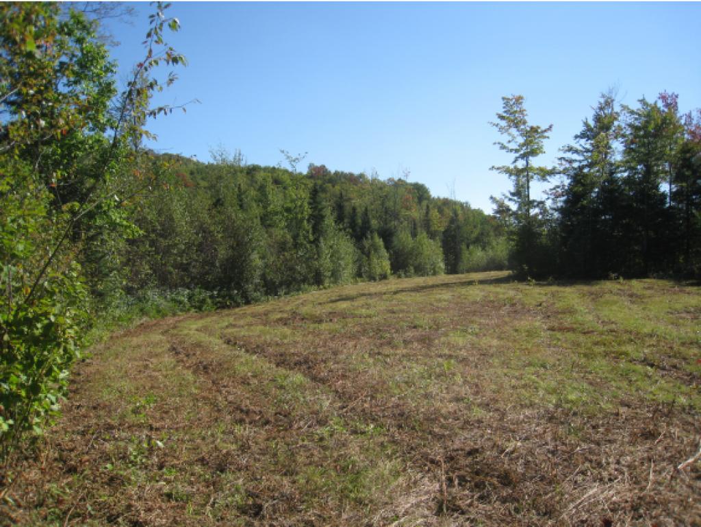 Lot #5 Rt 114 East Haven Road Island Pond, VT 05846 - Photo 3 of 10 Gallery Image 3