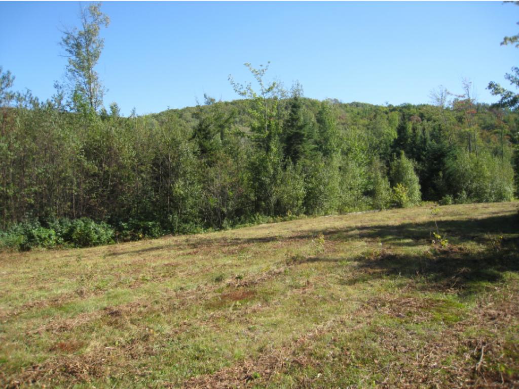 Lot #5 Rt 114 East Haven Road Island Pond, VT 05846 - Photo 4 of 10 Gallery Image 4