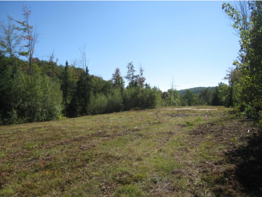 Lot #5 Rt 114 East Haven Road Island Pond, VT 05846 - Photo 5 of 10 Gallery Image 5