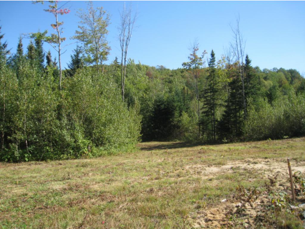 Lot #5 Rt 114 East Haven Road Island Pond, VT 05846 - Photo 6 of 10 Gallery Image 6