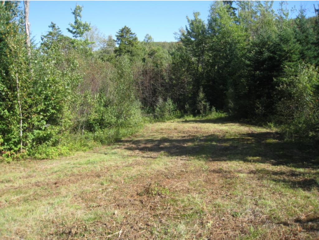 Lot #5 Rt 114 East Haven Road Island Pond, VT 05846 - Photo 7 of 10 Gallery Image 7