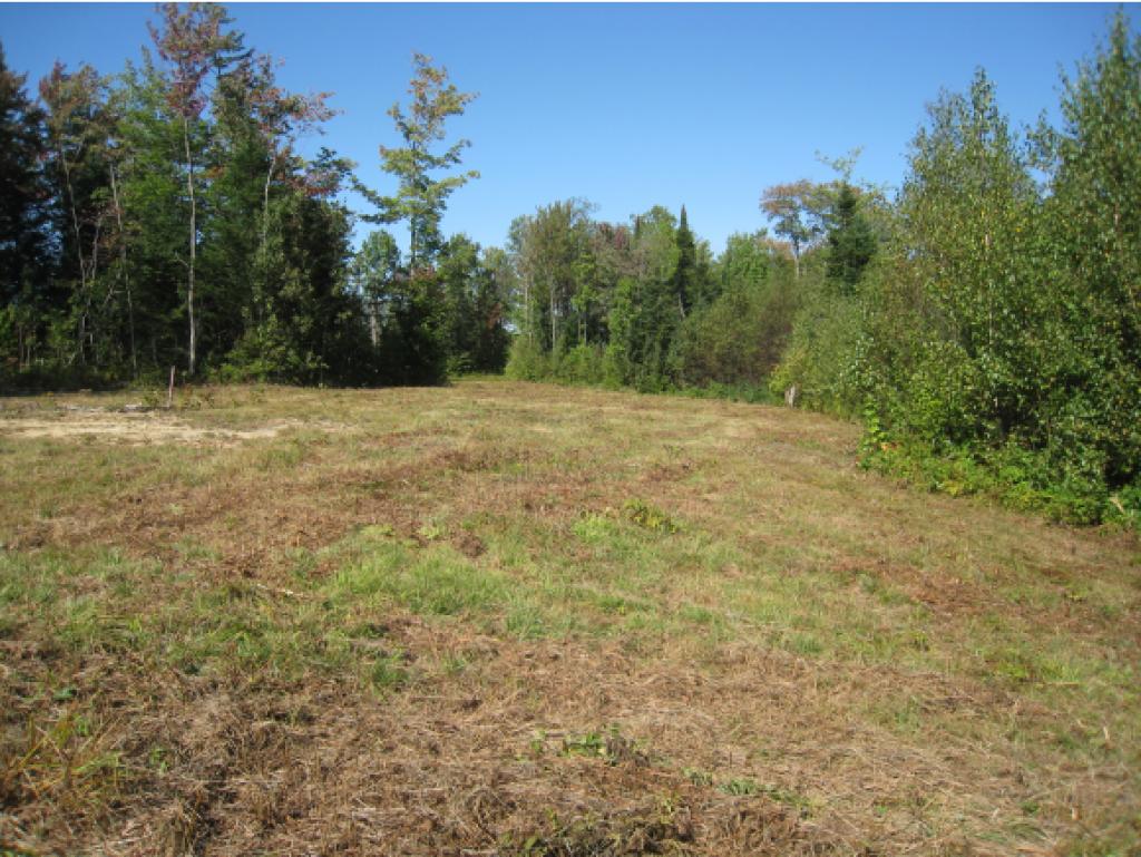 Lot #5 Rt 114 East Haven Road Island Pond, VT 05846 - Photo 8 of 10 Gallery Image 8