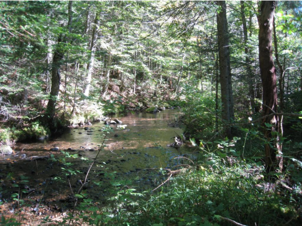 Lot #5 Rt 114 East Haven Road Island Pond, VT 05846 - Photo 10 of 10 Gallery Image 10