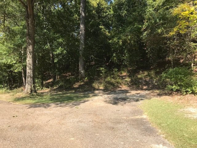 220 River Road Bolivar, TN 38008 - Photo 19 of 19