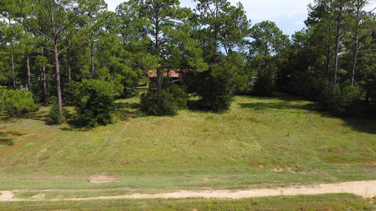24773 Patterson Road Robertsdale, AL 36567 - Photo 7 of 9