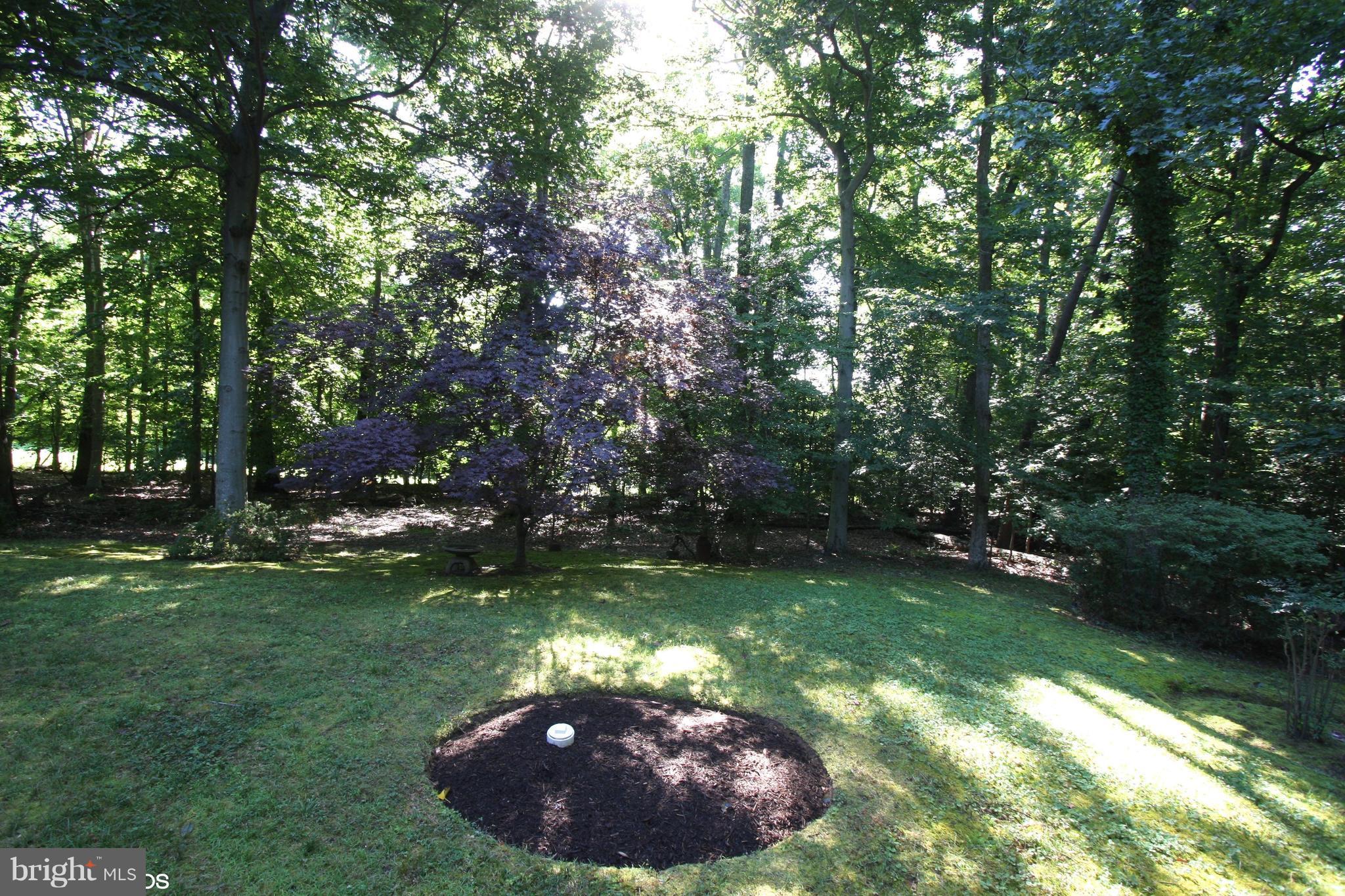 1732 Woodlore Road Annapolis, MD 21401 - Photo 22 of 22 Exterior (Rear)