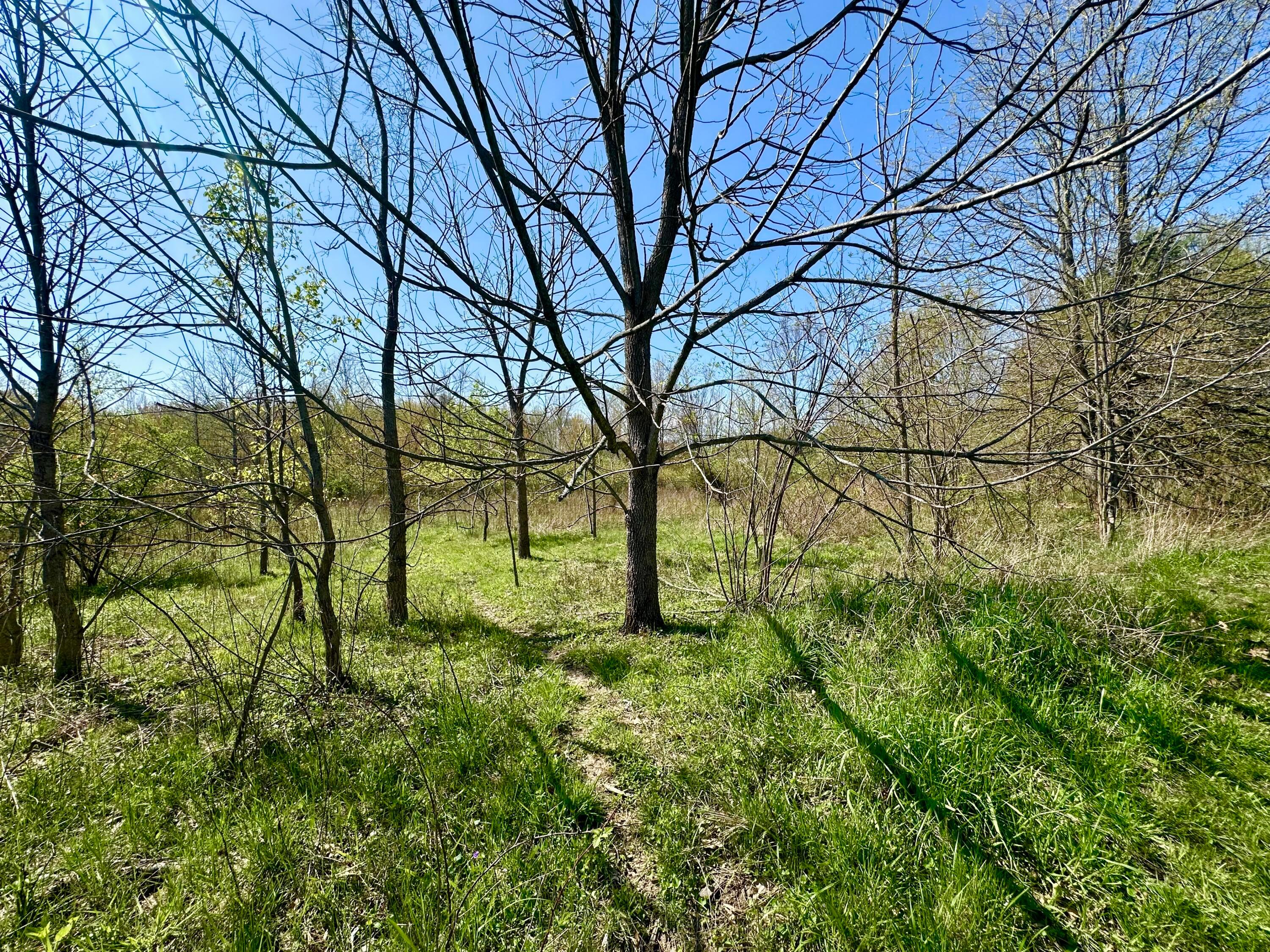 14640 Hartford Road Sunbury, OH 43074 - Photo 61 of 68 IMG_1394