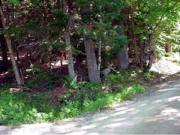 0 Mill Brook Road Thornton, NH 03223 - Photo 1 of 1 Gallery Image 1