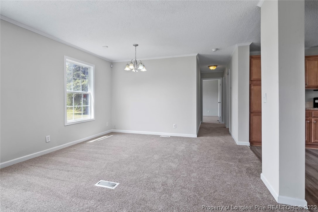 1017 Brisson Road St. Pauls, NC 28384 - Photo 11 of 47 Gallery Image 11