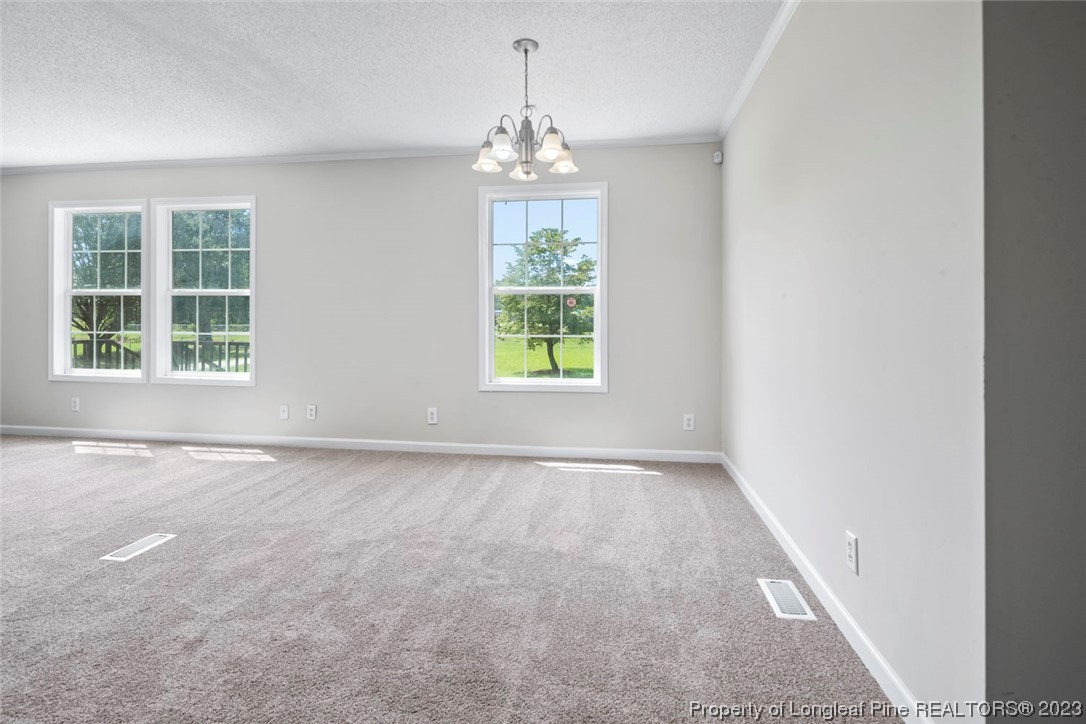 1017 Brisson Road St. Pauls, NC 28384 - Photo 12 of 47 Gallery Image 12