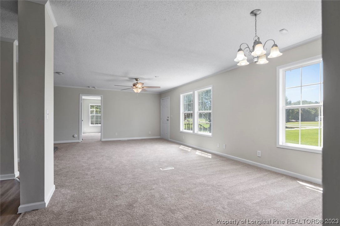 1017 Brisson Road St. Pauls, NC 28384 - Photo 13 of 47 Gallery Image 13