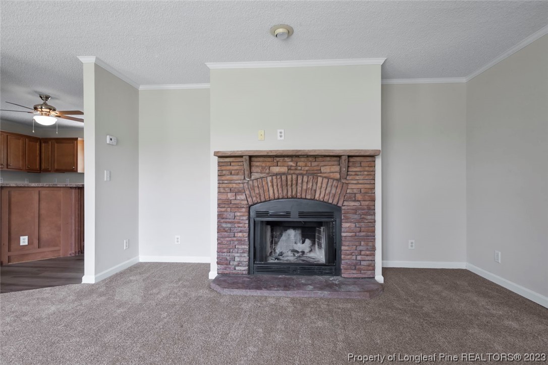 1017 Brisson Road St. Pauls, NC 28384 - Photo 9 of 47 Gallery Image 9