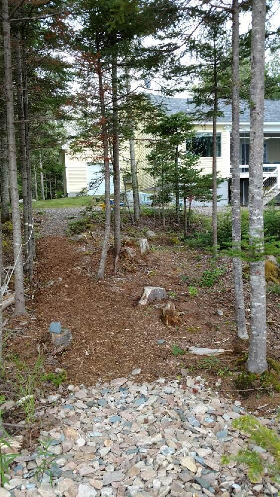 331 Paul Bunyan Road Corea, ME 04624 - Photo 49 of 62 path to water