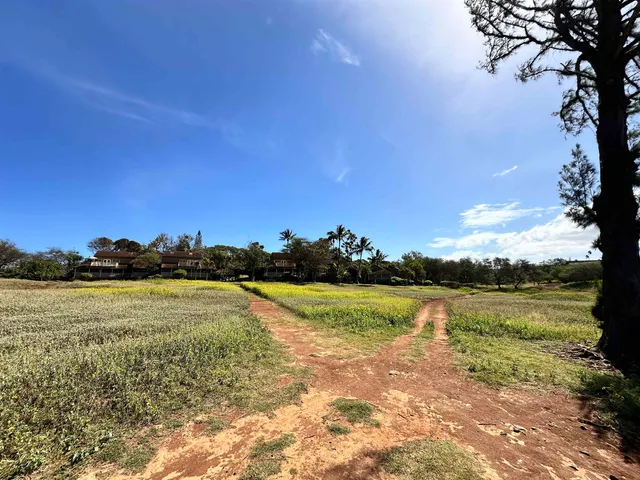 a view of an ocean and city