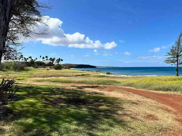 a view of an ocean and beach