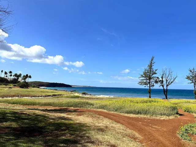 a view of an ocean and beach