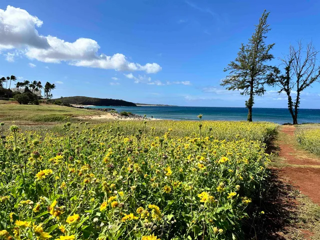 a view of a lake with a house