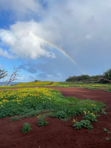a view of yard with ocean view