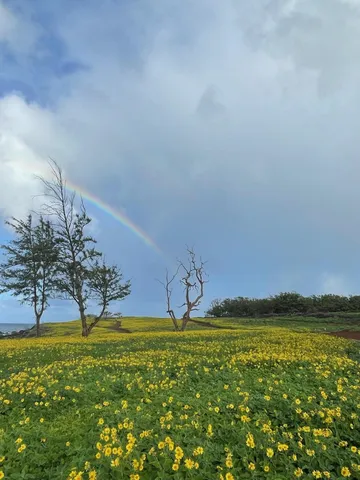a view of a golf course with a lake