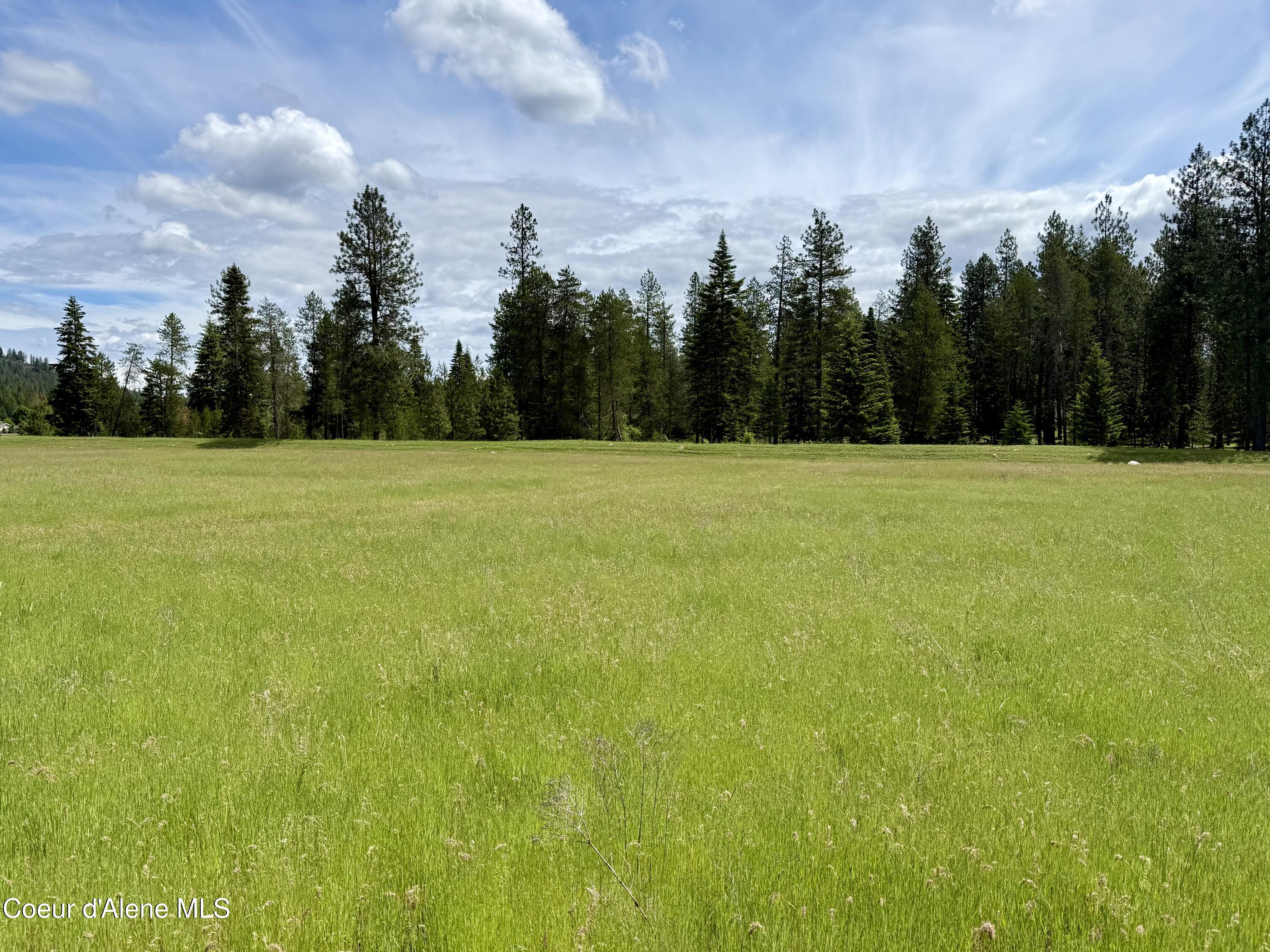 Lot 11 North Stonemason Way Rathdrum, ID 83858 - Photo 3 of 6 Open acreage backed by mature trees.