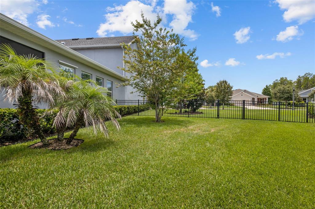 3164 Satilla Loop Odessa, FL 33556 - Photo 37 of 52
