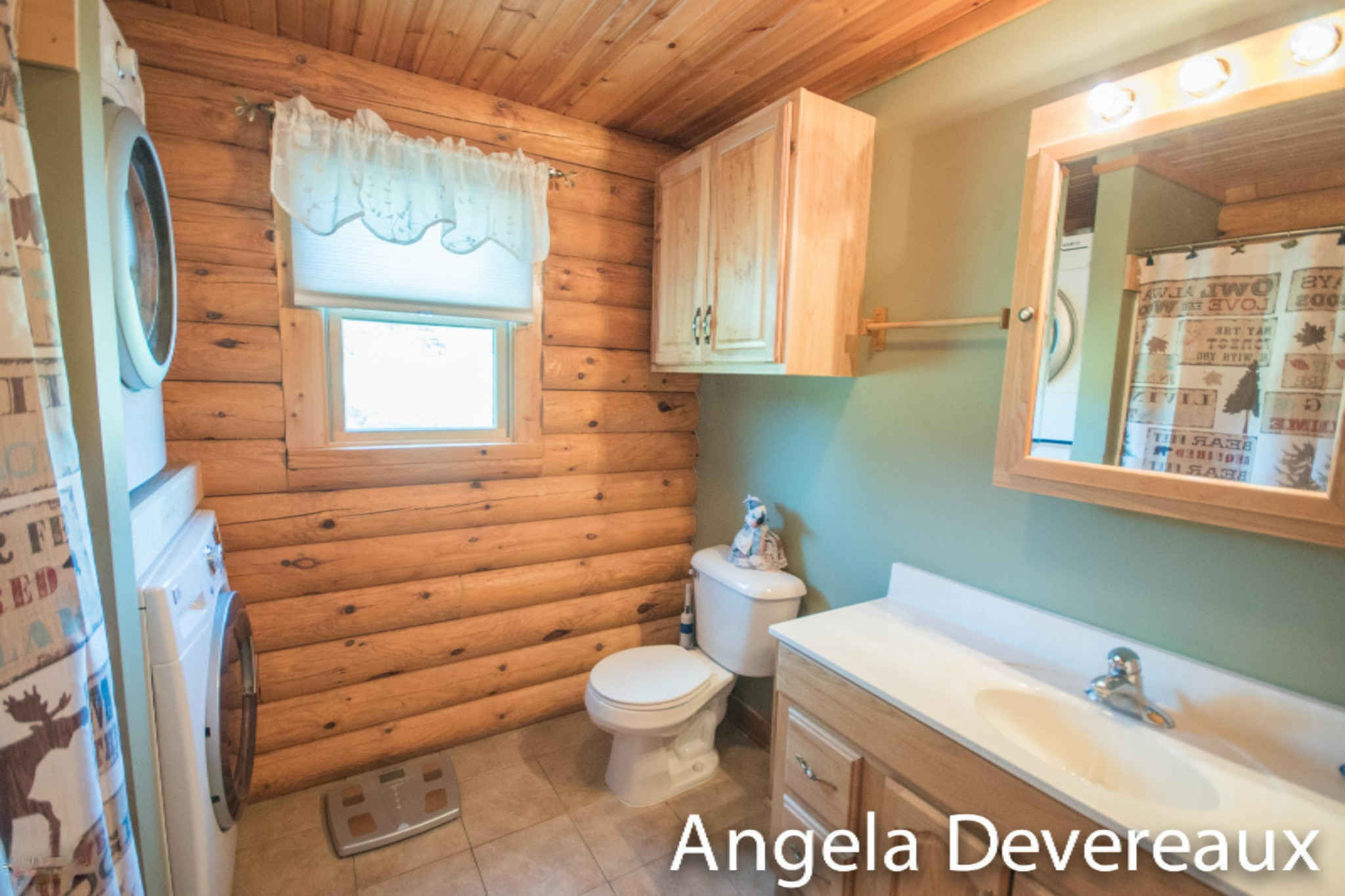 8146 West Monroe Road Elwell, MI 48832 - Photo 19 of 34 Elwell-1376
