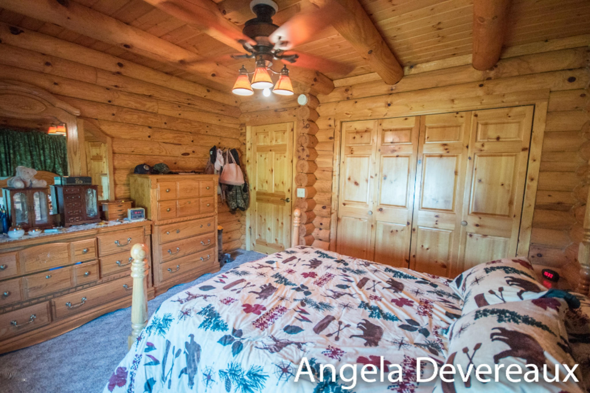 8146 West Monroe Road Elwell, MI 48832 - Photo 21 of 34 Elwell-1375