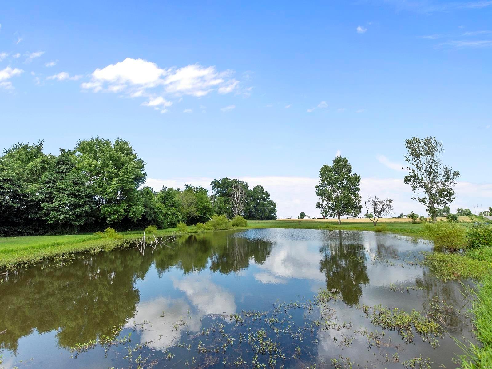 4361 Blackjack Road Red Bud, IL 62278 - Photo 90 of 98