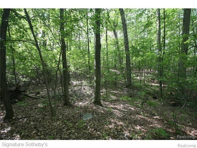 8630 Knox Road Clarkston, MI 48348 - Photo 9 of 13 10.jpg