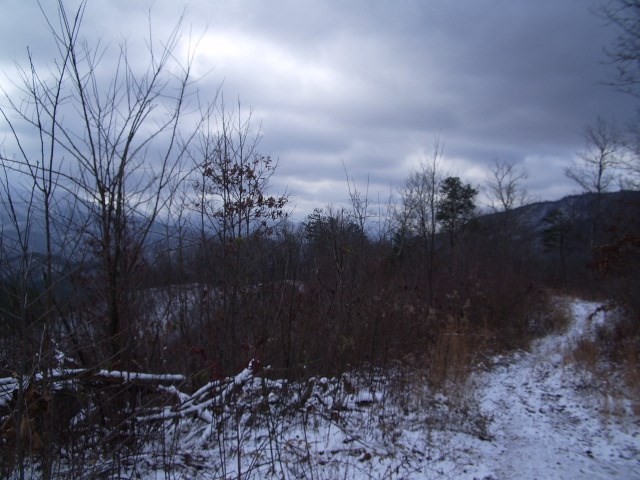 0 Messer Branch Road Hartford, TN 37753 - Photo 10 of 27