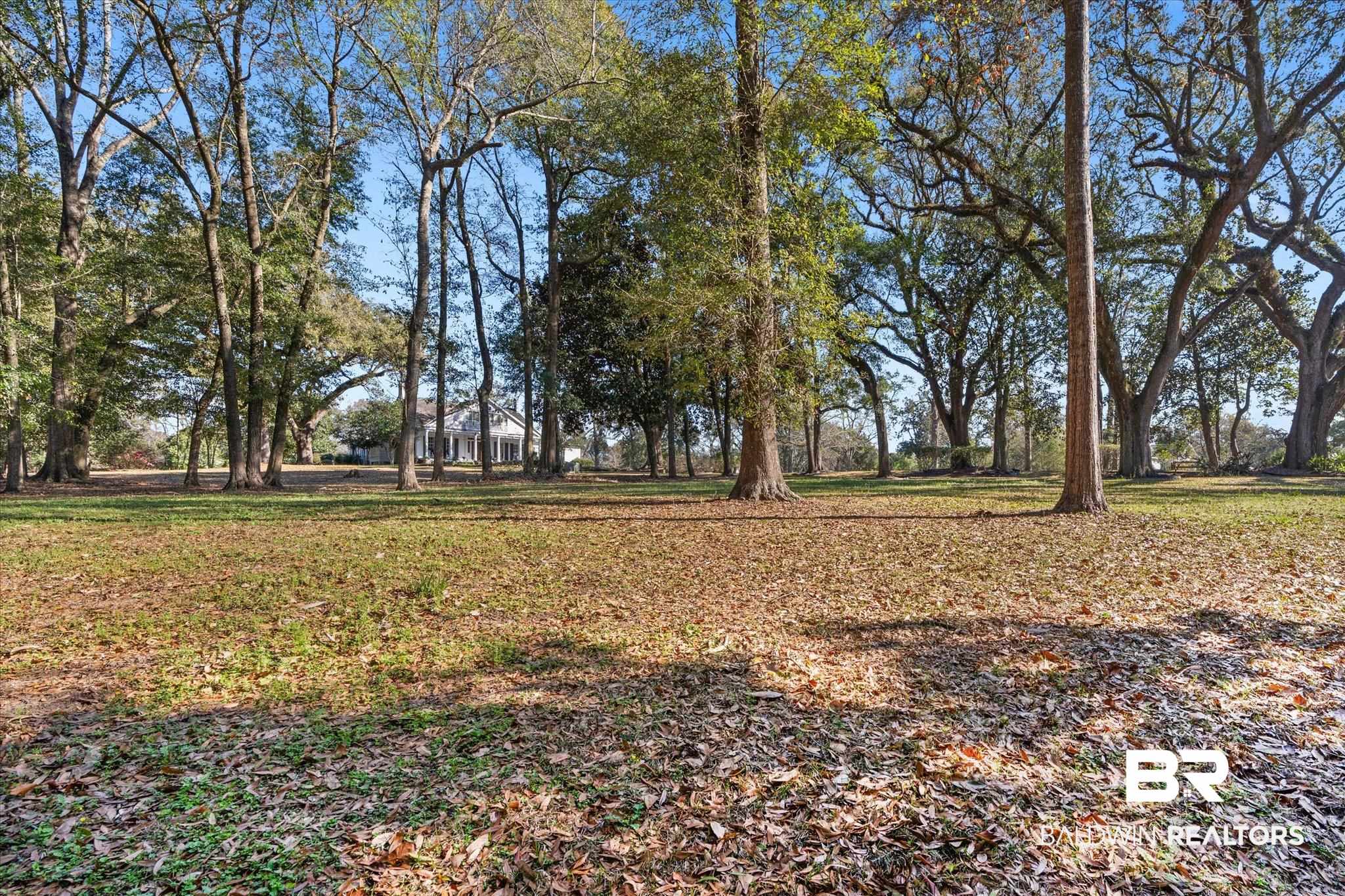 0 Austill Place Mobile, AL 36608 - Photo 14 of 14 View of yard