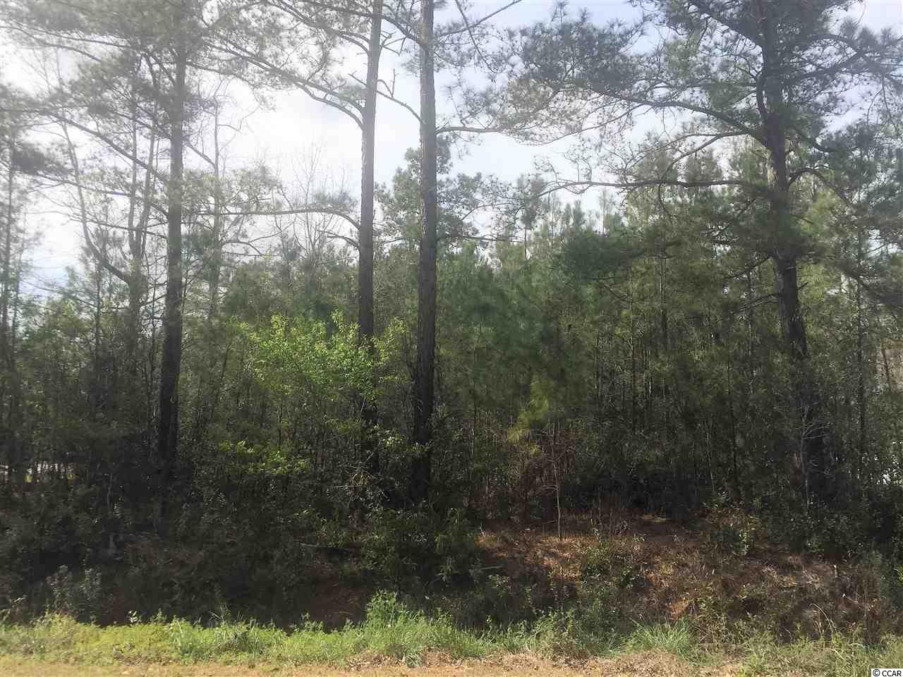 Lot 5 Allen Street Loris, SC 29569 - Photo 1 of 3 Gallery Image 1
