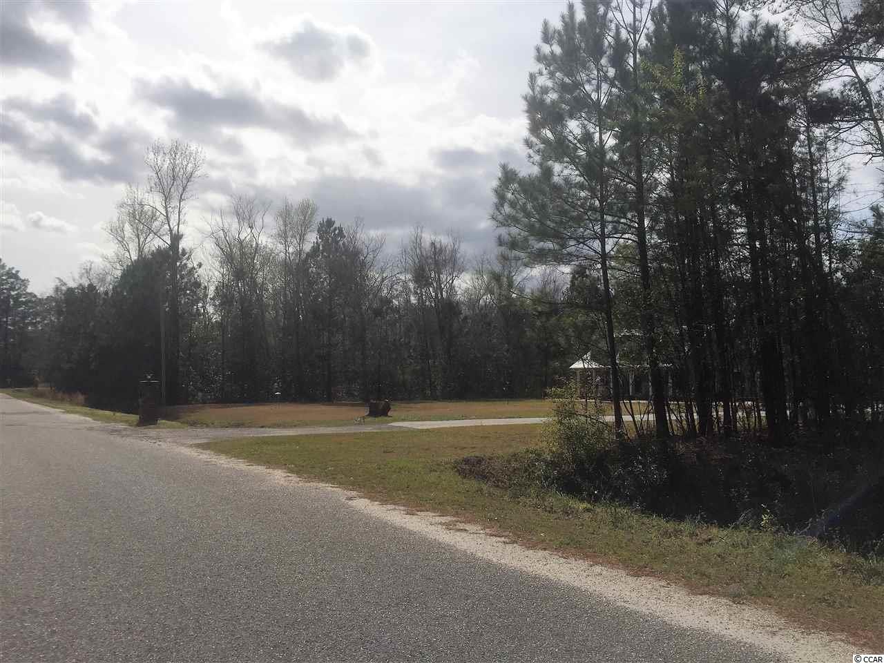 Lot 5 Allen Street Loris, SC 29569 - Photo 3 of 3 Gallery Image 3