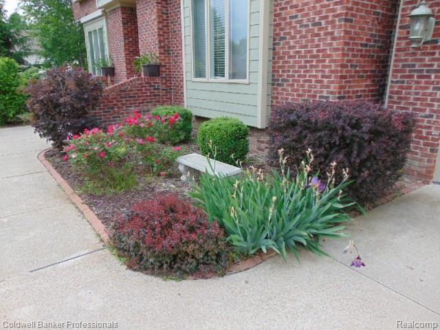 24745 Duff Road New Boston, MI 48164 - Photo 6 of 45