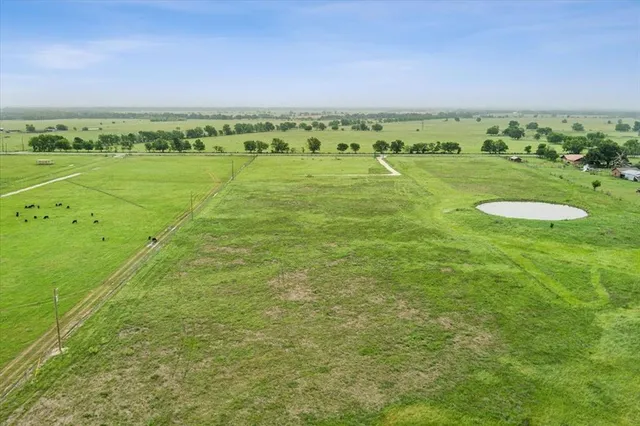 a view of an ocean with a lush green forest