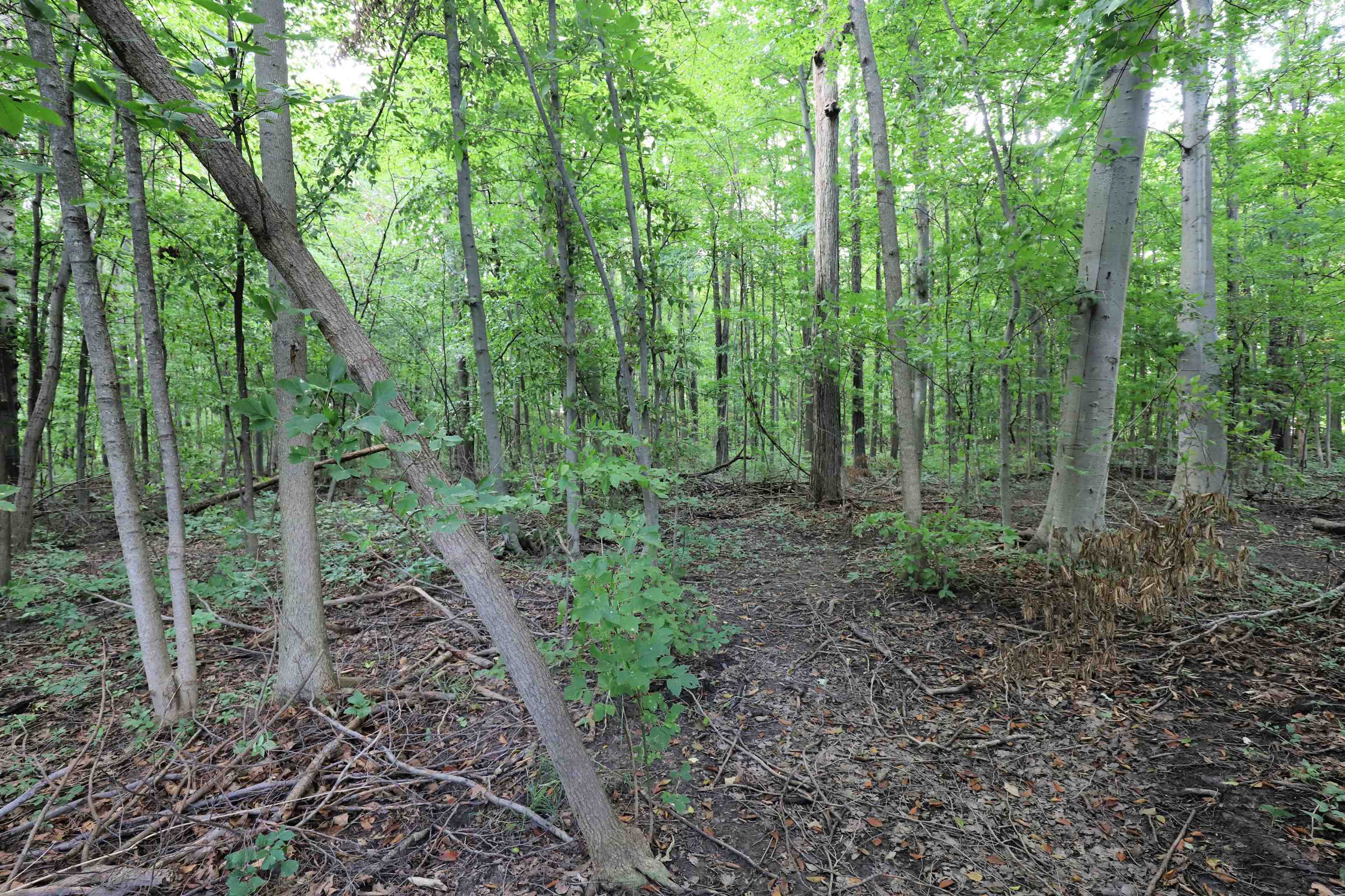 7298 North Nichols Road Flushing, MI 48433 - Photo 27 of 34 50152909-2958e995-a6b3-4e3f-940d-1f2fd2f82aa0.JPG