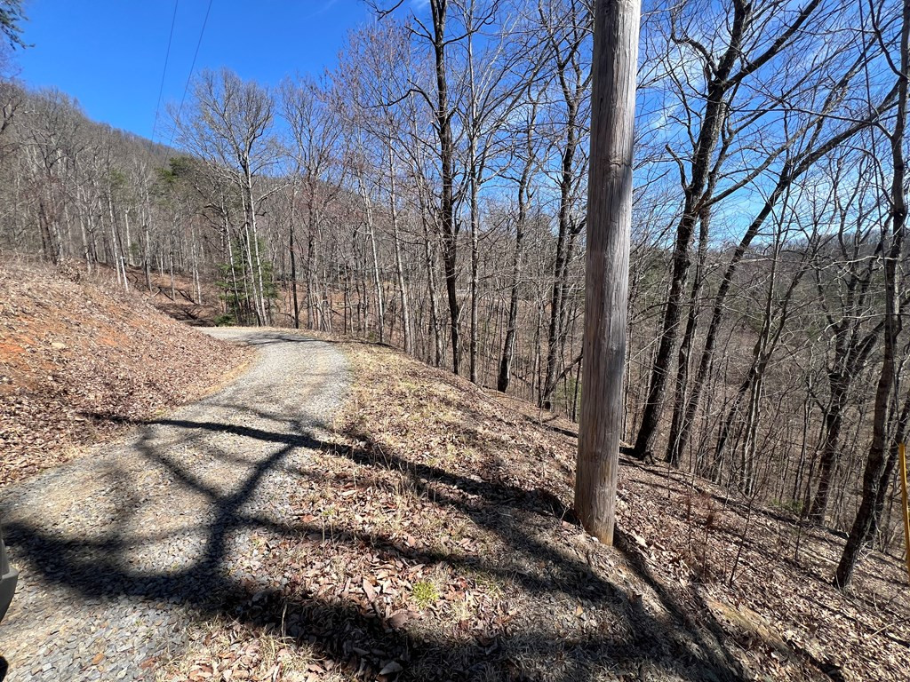 Lots Wolf Mountain Road Murphy, NC 28906 - Photo 14 of 27