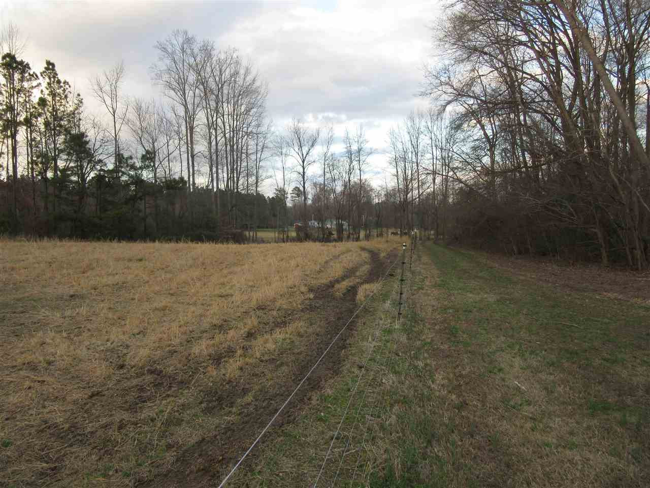 3116 Richardson Road Zebulon, NC 27597 - Photo 5 of 18 Photo 5