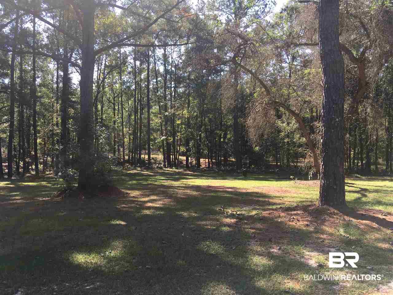 952 Poindexter Road Andalusia, AL 36420 - Photo 11 of 14
