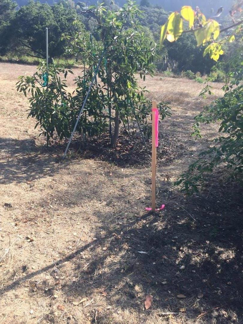 0 Rodeo Gulch Soquel, CA 95073 - Photo 3 of 16 a view of a backyard of a house