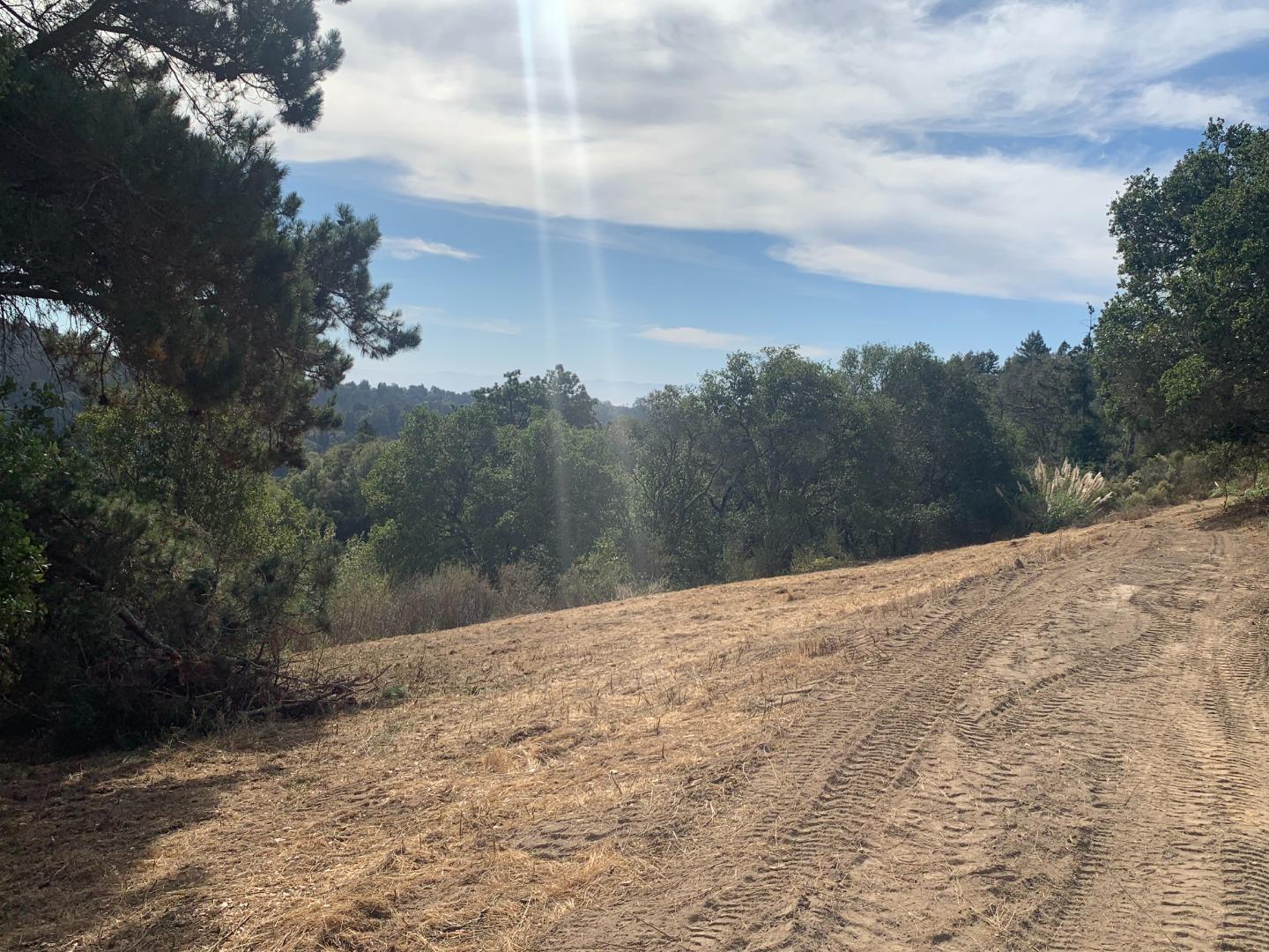 0 Rodeo Gulch Soquel, CA 95073 - Photo 7 of 16 a view of a dry yard with trees