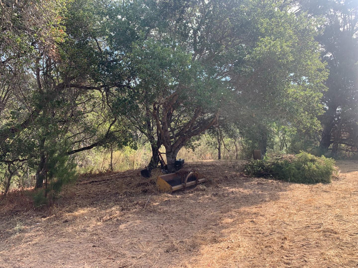 0 Rodeo Gulch Soquel, CA 95073 - Photo 8 of 16 a view of outdoor space and trees